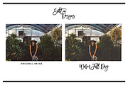 Warm Fall Day Lightroom Preset, a Preset Add-On by SabTin Designs (Thumbnail 2 of 4)