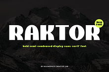 Raktor - Heavy Powerful Sans Serif