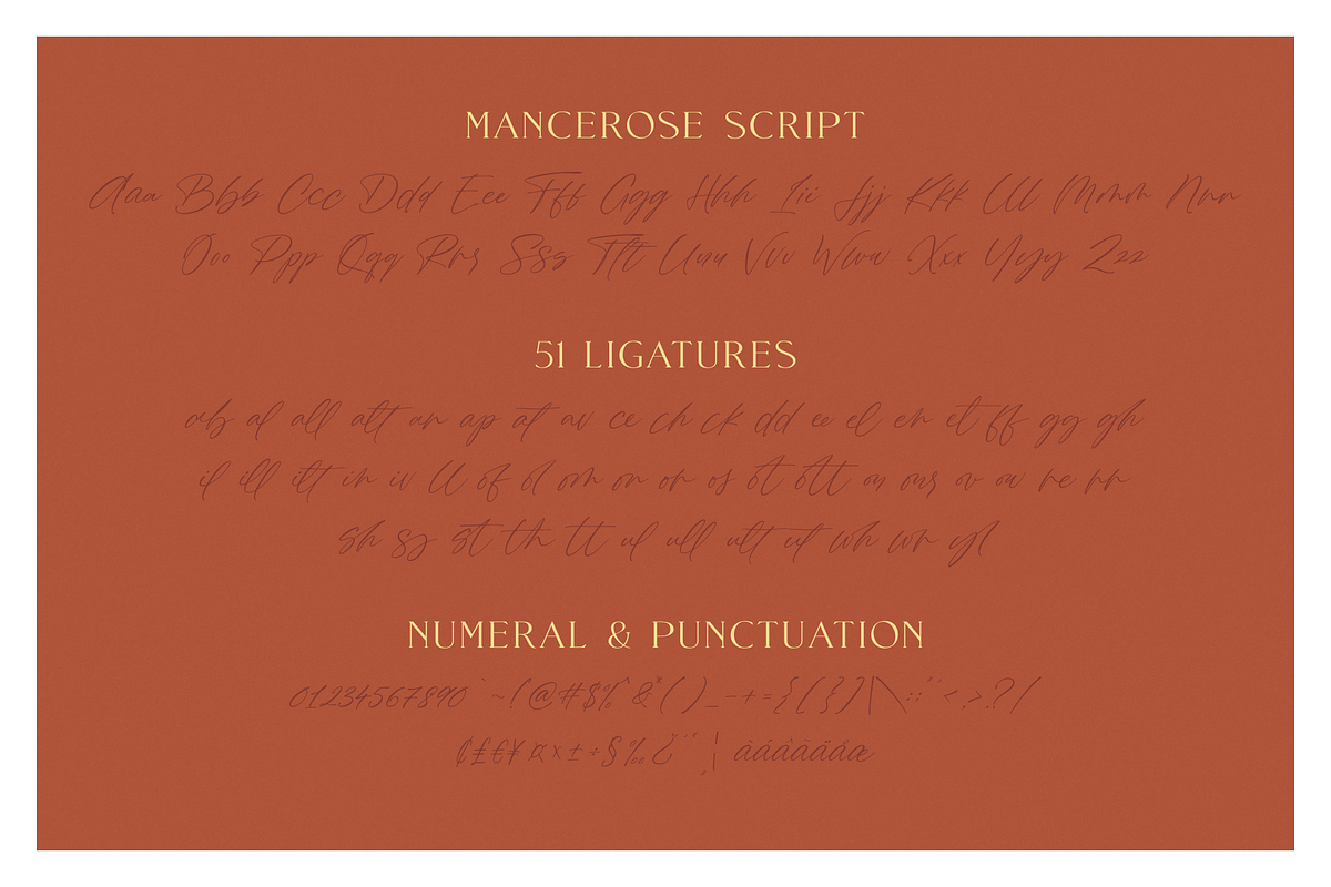 Mance Rose - Useful Pairing Fonts preview 8