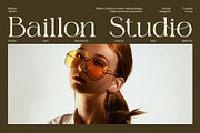 Gadies Elegant Serif Font, a Serif Font by Elegant Font (Thumbnail 5 of 8)