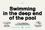 Generic G80-RD 'Standard', a Sans Serif Font by More Etc. Studios (Thumbnail 4 of 8)