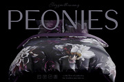 Pattern Peonies and Chrysanthemums, a Pattern Graphic by Yana Dobrik (Thumbnail 8 of 11)