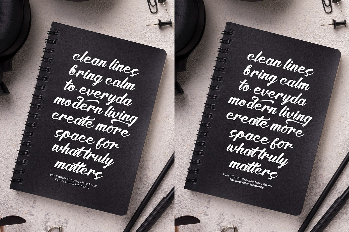 Satin Willots, a Script Font by operatype.co (Photo 3 of 8)