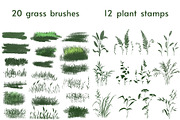 Grass brushes for PHOTOSHOP, a Brush Add-On by Dashamoony (Thumbnail 2 of 2)