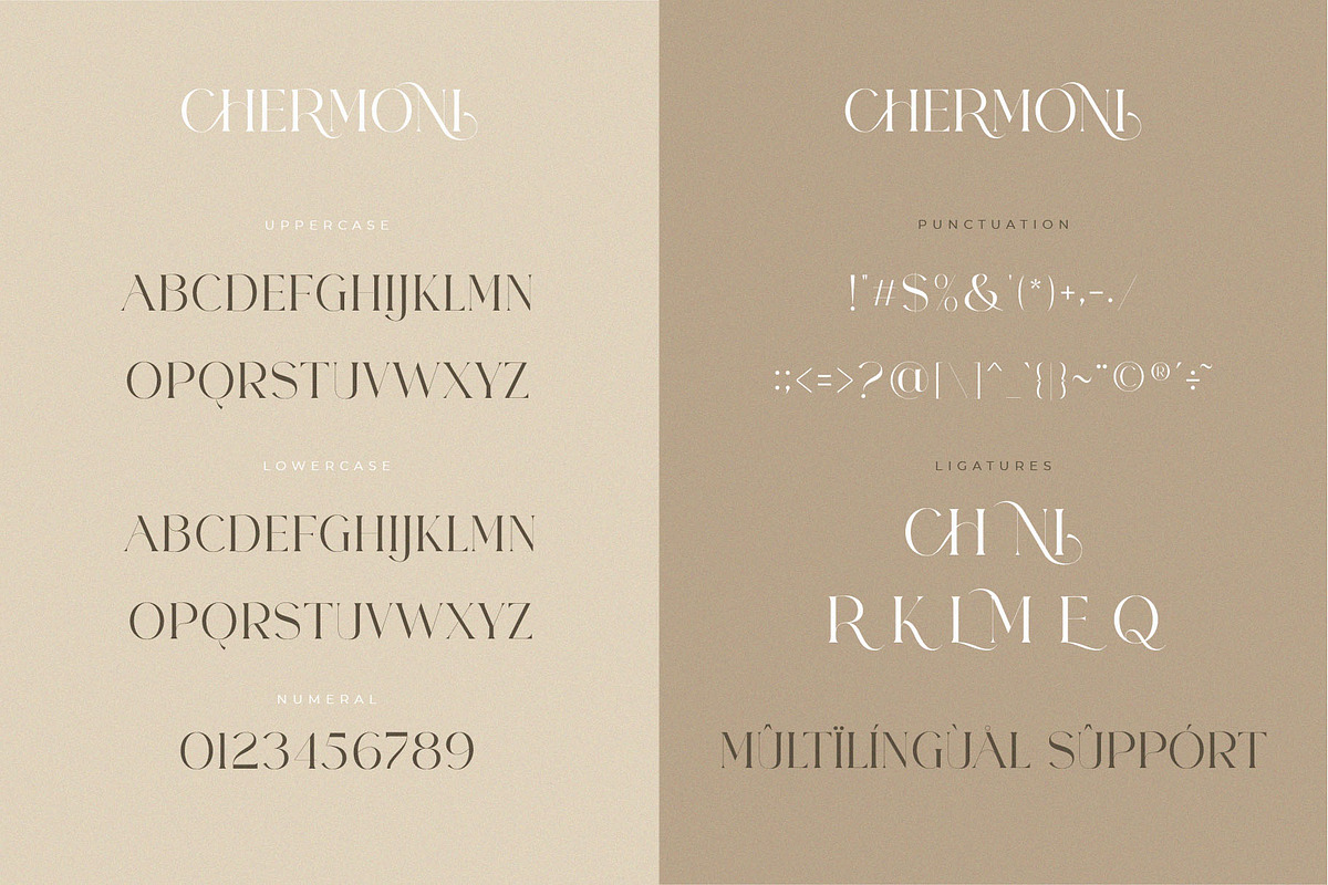 CHERMONI, a Serif Font by ToniStudio (Photo 8 of 8)