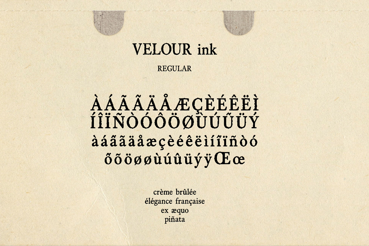 Velour Ink Textured Serif Duo, a Serif Font by Mneme (Photo 6 of 9)