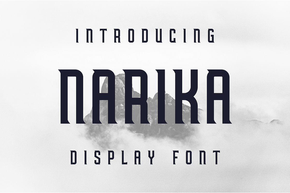Narika, a Sans Serif Font by lelevien (Photo 2 of 5)