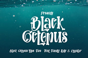 Black Octopus, a Slab Serif Font by Bramcreative (Thumbnail 1 of 10)
