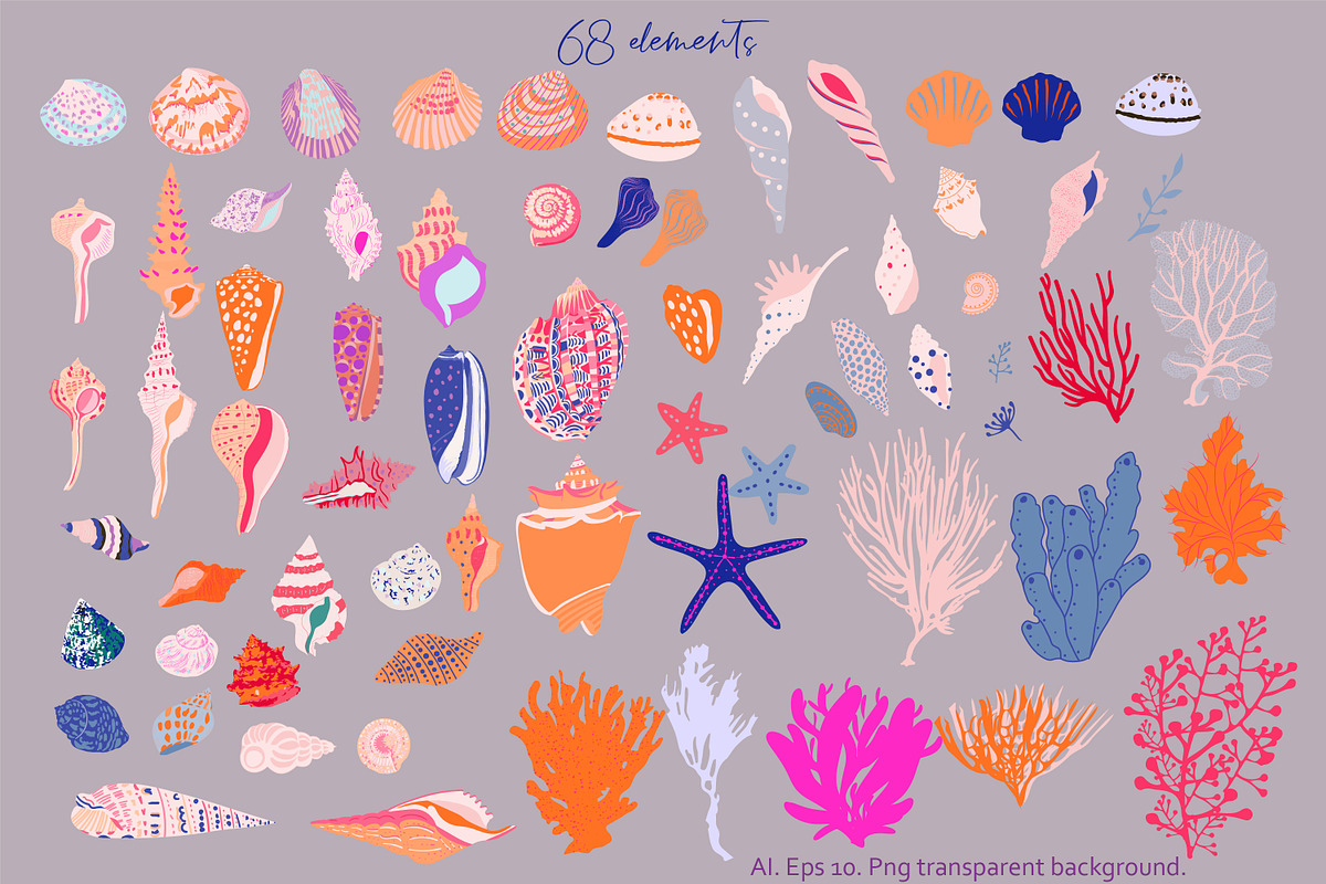 seashells collection, a Texture Illustration by Mona Ahmed (Photo 2 of 10)