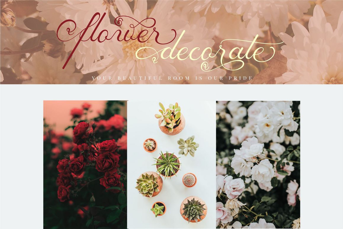 Tashia, a Script Font by PutraCetol Studio (Photo 5 of 16)