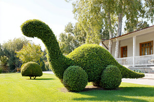 Topiary sculpture of a dinosaur made from green bushes, a Nature Photo by AlyaAnd