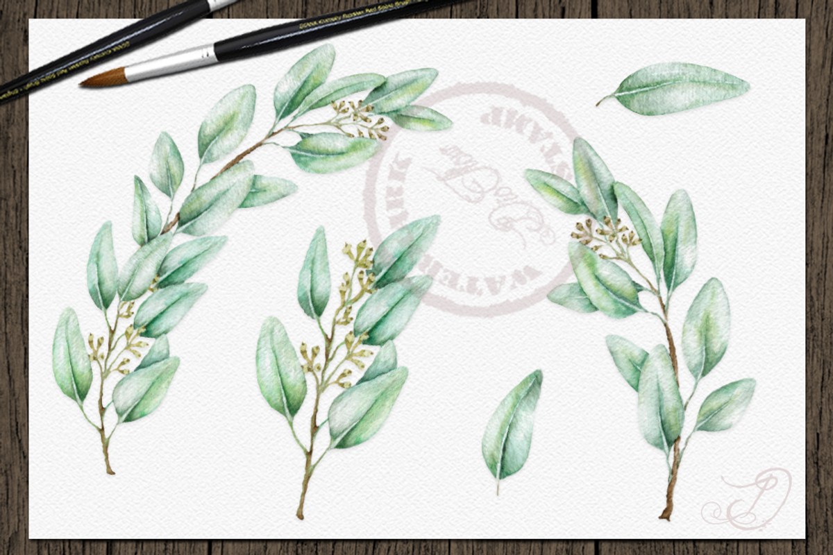 Seeded Eucalyptus Illustration, a Decorative Illustration by DioFlow (Photo 2 of 6)