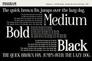 Enigmatica - Serif font family, a Serif Font by Artistic & Unique (Thumbnail 15 of 15)