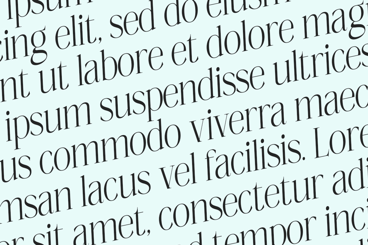 Megilona, a Serif Font by Black Studio (Photo 13 of 17)