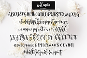Valencia, a Script Font by Larin Type Co. (Thumbnail 10 of 10)