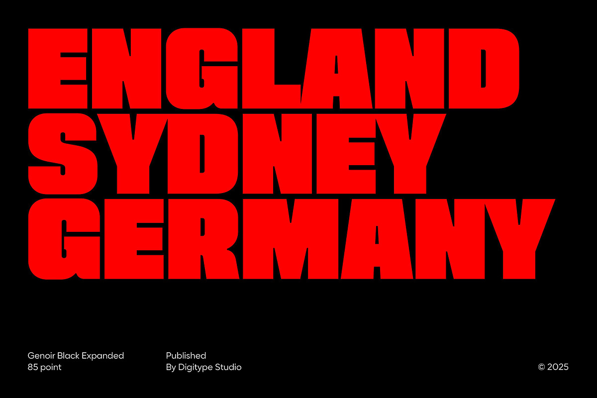 Genoir – Bold Display Font Family, a Font by Digitype Studio (Photo 6 of 10)