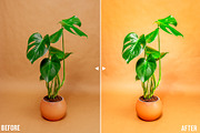 30 Product Photography Lr Presets, an Action Add-On by Presetsh.com (Thumbnail 4 of 18)