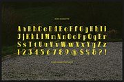 Pitolia | Decorative Display Serif, a Serif Font by gracetype_studio (Thumbnail 10 of 12)