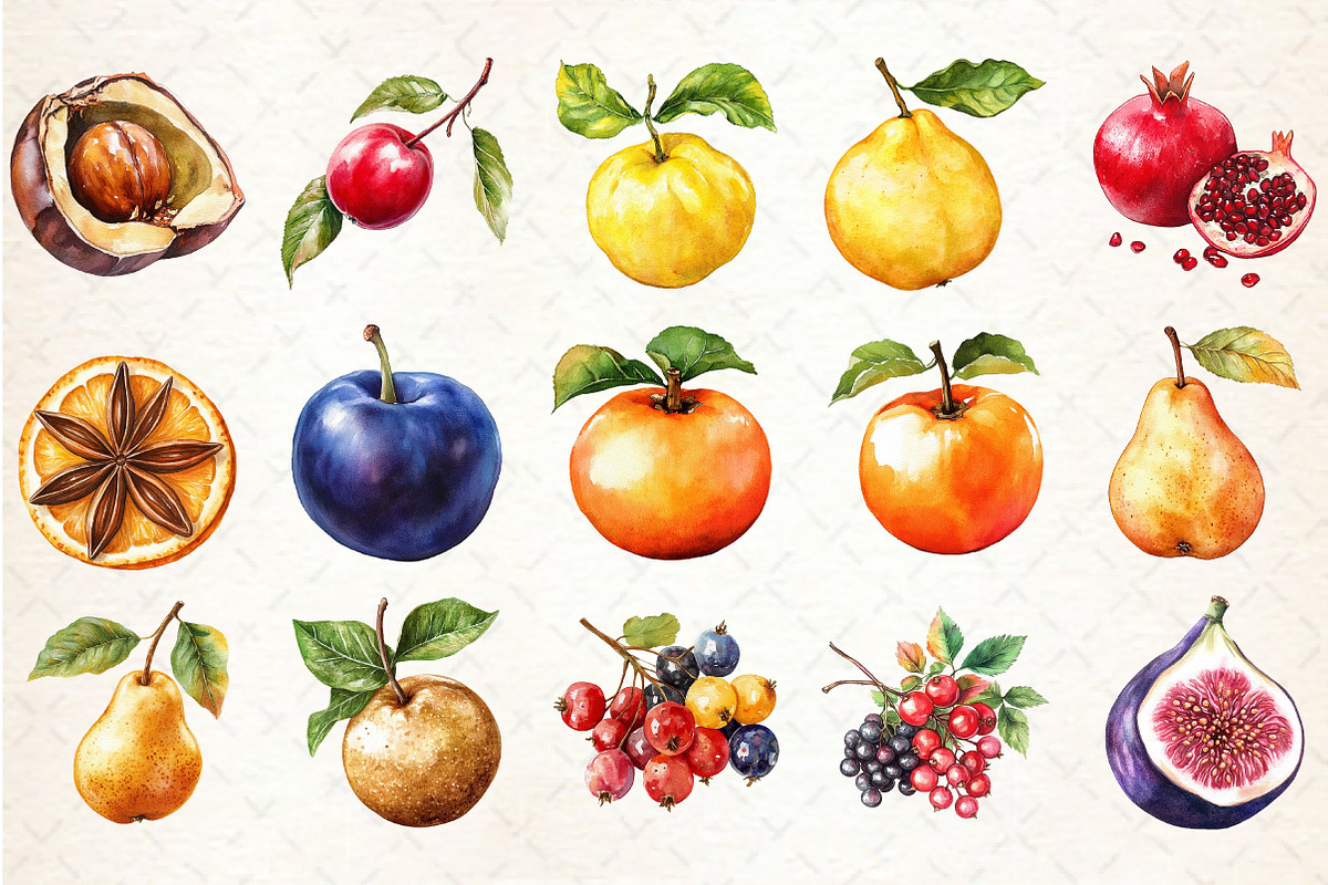 Watercolor Autumn Fruits Clipart, an Illustration by Rose Art (Photo 3 of 7)