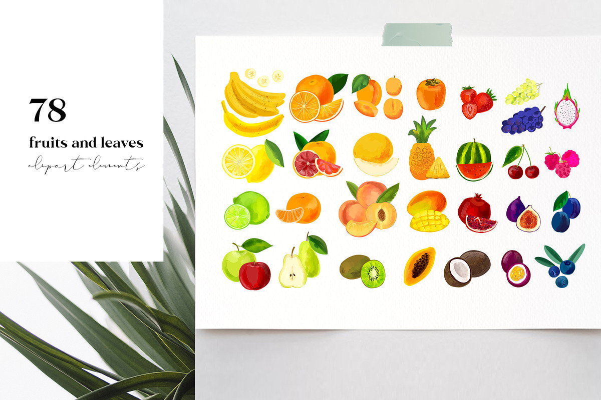 Juicy fruits Clipart collection, an Illustration by ViktoriaLapshyna (Photo 2 of 14)