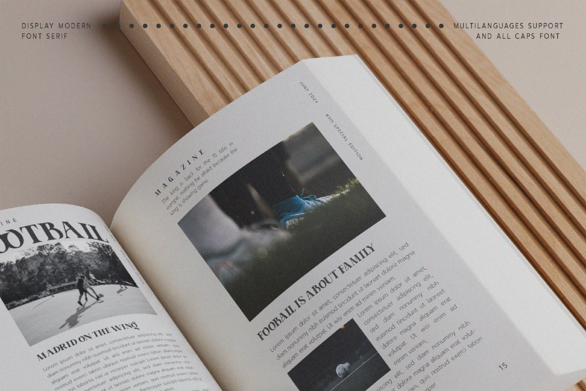 Aporla - Elegant Slab Serif, a Slab Serif Font by Baleee (Photo 13 of 18)