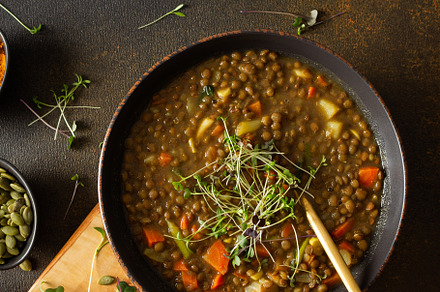 Healthy lentil soup, a Food & Drink Photo by Pandateam