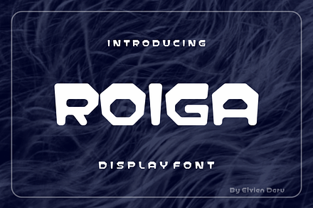 Roiga - Display Font