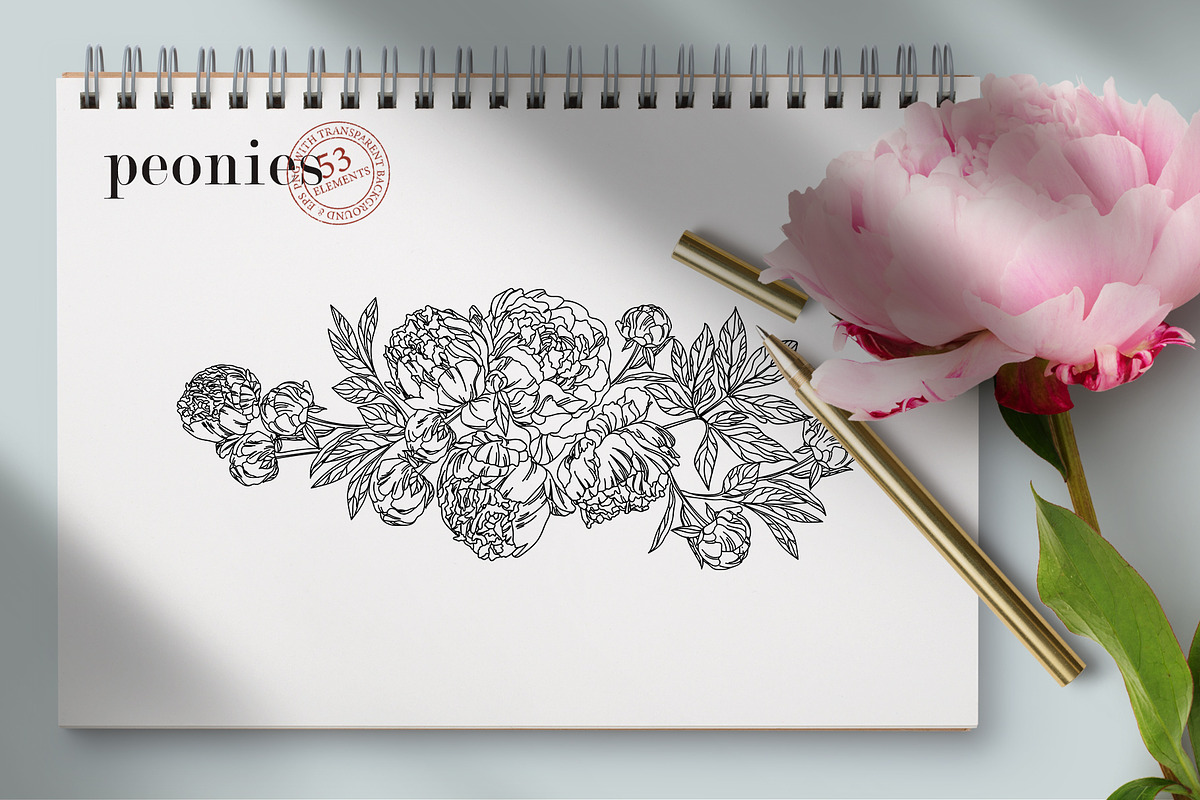 Flowers Line Hand Drawn, a Decorative Illustration by LanaDzi (Photo 6 of 10)