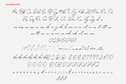 DaistoneyHarlond - Swash Calligraphy, a Script Font by Myn Type (Thumbnail 10 of 13)