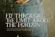 Daleant - Serif Font (10 Fonts), a Serif Font by Maculinc Type (Thumbnail 12 of 18)