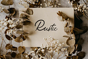 Tropical Streamline Handwritten Font, a Handwritten Font by UICreative (Thumbnail 5 of 13)