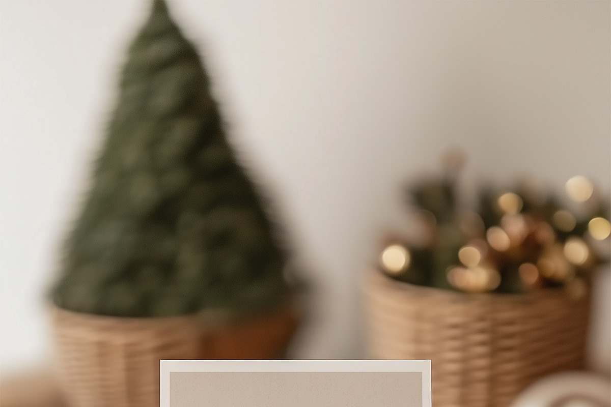 Christmas Curious Cats Collection, a Seasonal Illustration by Muse Artist (Photo 13 of 13)