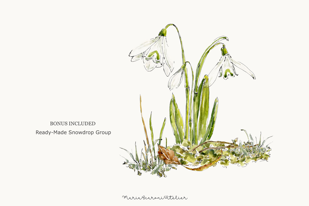 Snowdrop Watercolor Clipart Set, a Decorative Illustration by MariaScaroniAtelier (Photo 5 of 7)