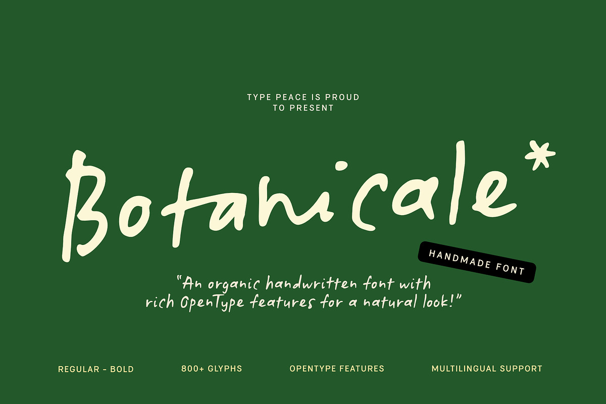 Botanicale | Handwritten Font, a Handwritten Font by type peace (Photo 1 of 18)