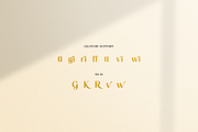 Patriona - Elegant Serif Font, a Serif Font by RockboyStd (Thumbnail 11 of 12)