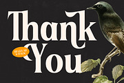 Belasfa Cantter Modern Serif Font, a Serif Font by timelesstype.co (Thumbnail 20 of 20)
