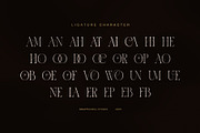 Mordo Elegant Modern Serif Font, a Serif Font by Graphicxell (Thumbnail 8 of 8)
