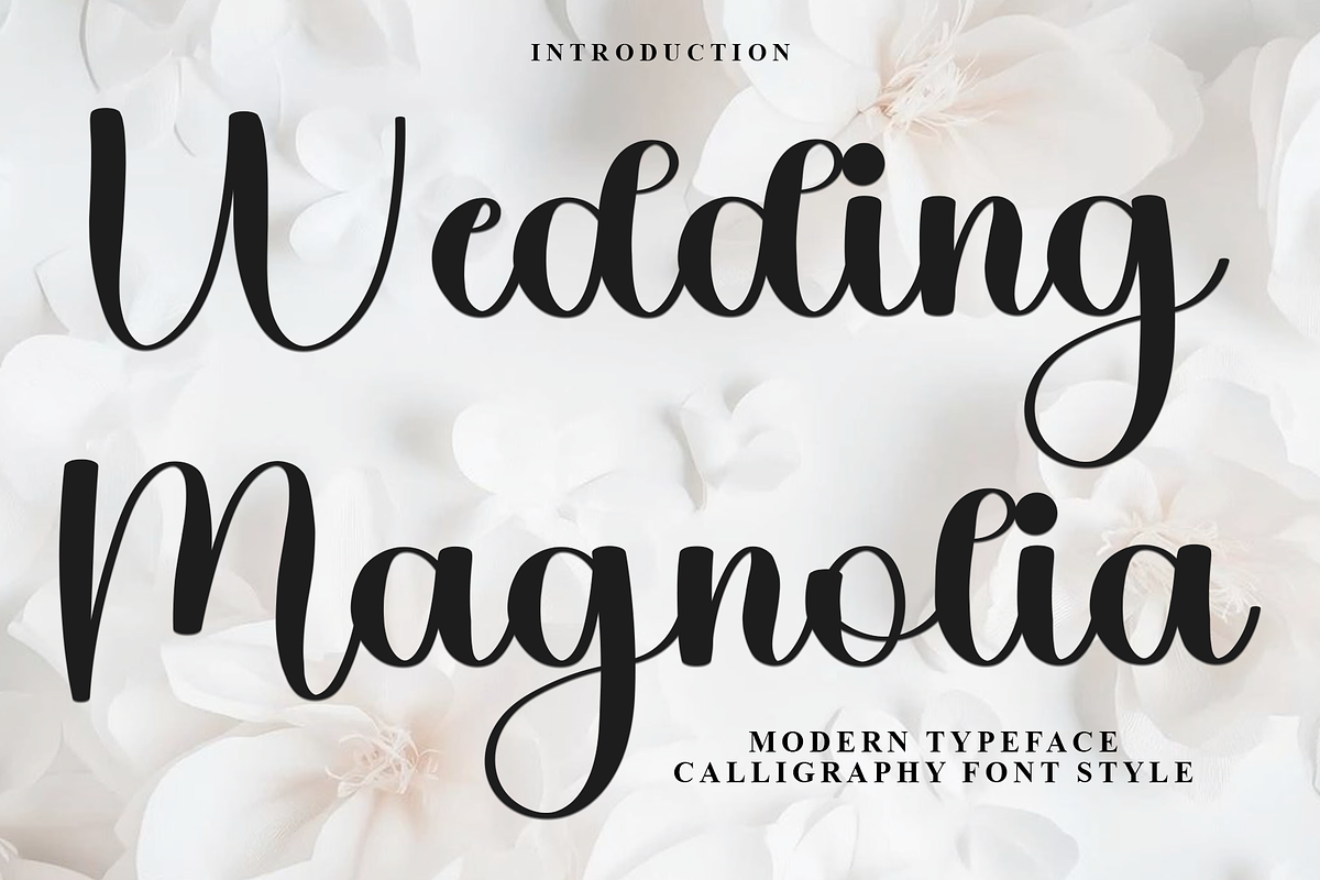Wedding Day, a Handwritten Font by InermediaSTUDIO (Photo 1 of 8)