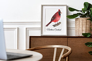 Backyard Birds of North America, an Animal Illustration by FITALARTSNEDIGI (Thumbnail 6 of 8)