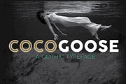 Cocogoose Pro - 17 styles, a Sans Serif Font by Zetafonts (Thumbnail 1 of 10)