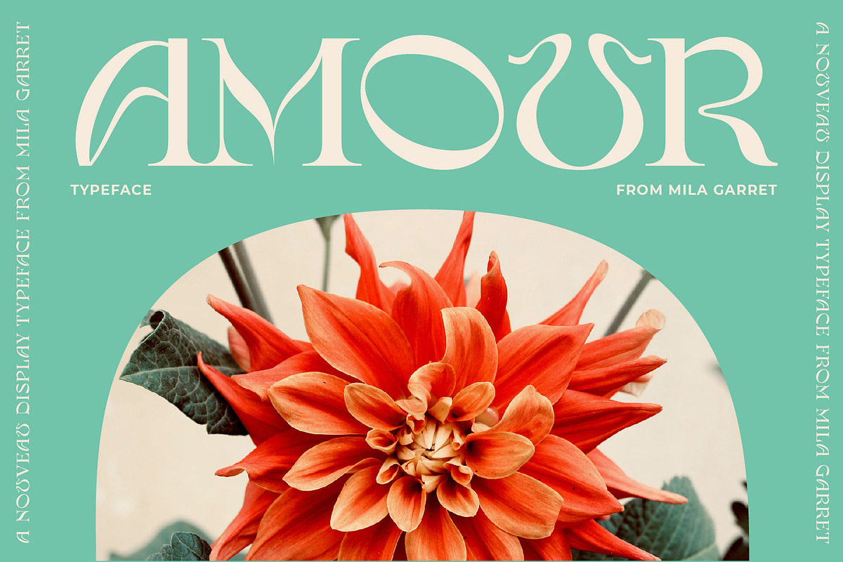 Amour Modern Display Logo Serif, a Sans Serif Font by Mila Garret (Photo 1 of 27)