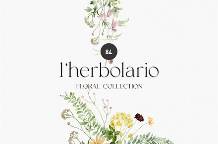 l'Herbolario - Wild Floral Graphics