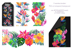 Birds Of Paradise Graphics/patterns