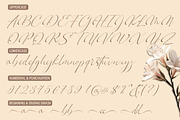 Skypiea Romantic Signature font Duo, a Serif Font by Romiecreative (Thumbnail 11 of 12)