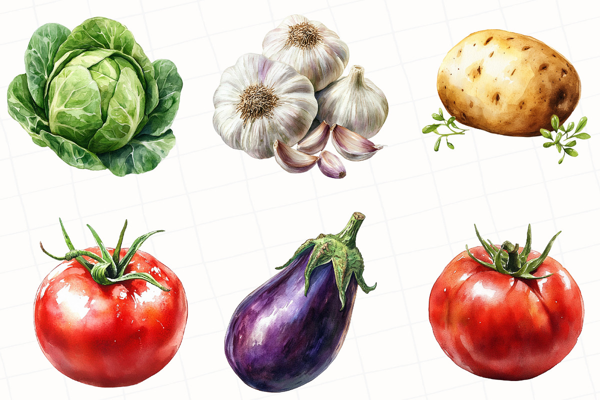 Vegetable Watercolor Clipart, an Illustration by OK Design (Photo 3 of 5)