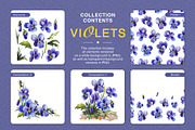 Violets – Floral Collection, a Graphic by NGliory (Thumbnail 5 of 5)