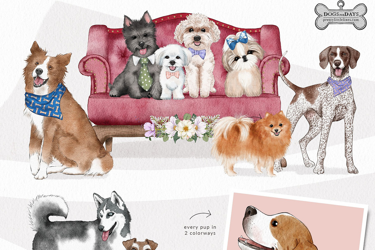 Pet Illustrations Patterns & Borders, a Graphic by Pretty Little Lines (Photo 6 of 29)