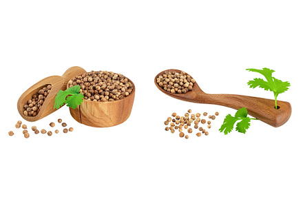 Dried coriander seeds in the wooden, a Food & Drink Photo by NataPhoto