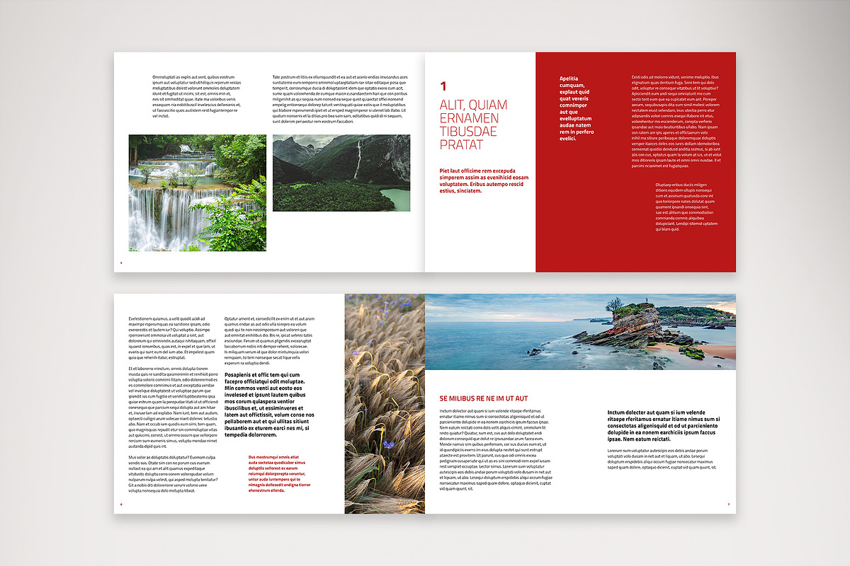 Landscape Business Report Design, a Brochure Template by McLittle Stock (Photo 3 of 7)