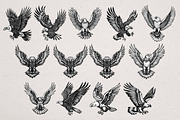36 Eagle Vector Illustrations, an Animal Illustration by Alternate Studio (Thumbnail 6 of 7)